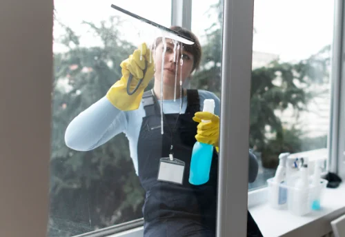 Nettoyage de vitres intérieures et extérieures à Saint-Germain-sur-Meuse